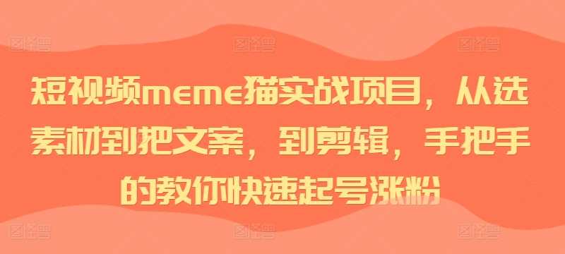 短視頻meme貓實(shí)戰(zhàn)項(xiàng)目,從選素材到把文案,到剪輯,手把手的教你快速起號漲粉 - 嚴(yán)選資源大全