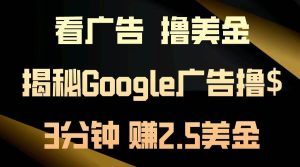 (13114期)看廣告,擼美金!3分鐘賺2.5美金!日入200美金不是夢!揭秘Google廣告… - 嚴選資源大全 - 嚴選資源大全