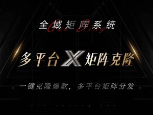 （13126期）全域矩陣系統，可一鍵克隆爆款矩陣分發到多個平臺！矩陣操作日引流500+！ - 嚴選資源大全 - 嚴選資源大全