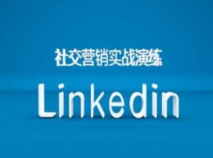 社交營(yíng)銷實(shí)戰(zhàn)演練之Linkedin營(yíng)銷課程，B2B跨境外貿(mào)的新出路 - 嚴(yán)選資源大全 - 嚴(yán)選資源大全
