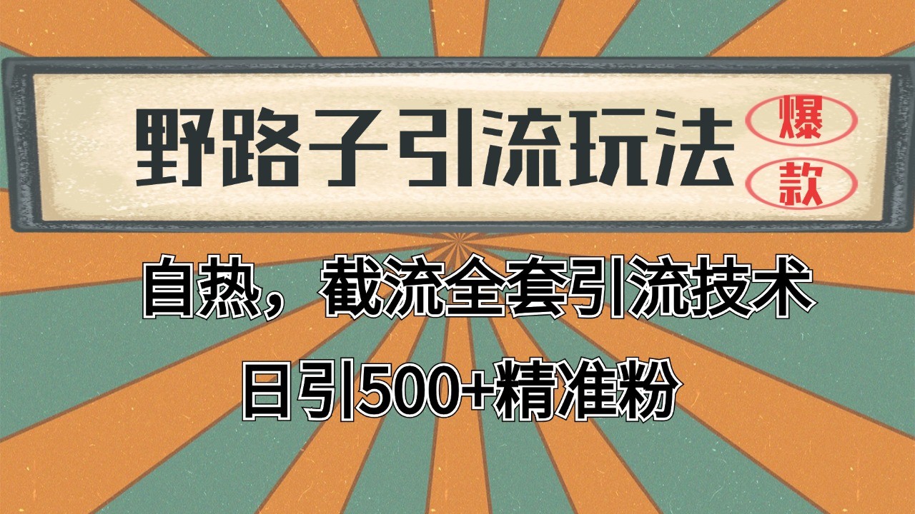 抖音小紅書視頻號全平臺引流打法,全自動引流日引2000+精準客戶 - 嚴選資源大全