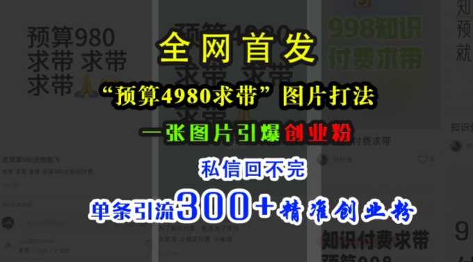 小紅書“預算4980帶我飛”圖片打法，一張圖片引爆創業粉，私信回不完，單條引流300+精準創業粉 - 嚴選資源大全