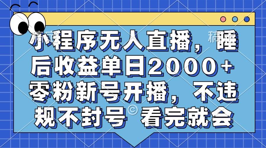 （13251期）小程序無人直播，睡后收益單日2000+ 零粉新號開播，不違規不封號 看完就會 - 嚴選資源大全