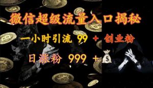 微信超級流量入口揭秘:一小時引流 99 + 創業粉,日漲粉 999 + - 嚴選資源大全 - 嚴選資源大全