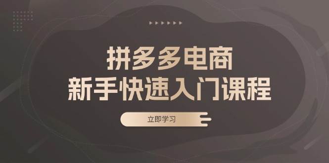 （13289期）拼多多電商新手快速入門課程：涵蓋基礎、實戰與選款，助力小白輕松上手 - 嚴選資源大全