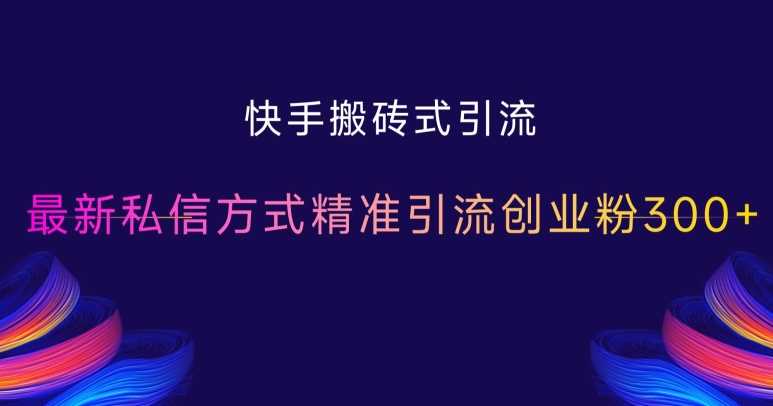 快手搬磚式引流，最新私信方式精準引流創業粉300+ - 嚴選資源大全