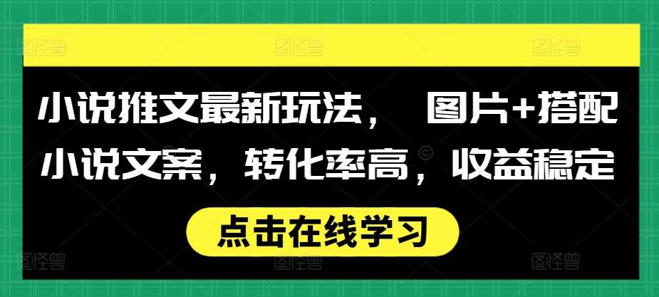小說推文最新玩法, 圖片+搭配小說文案,轉化率高,收益穩定 - 嚴選資源大全