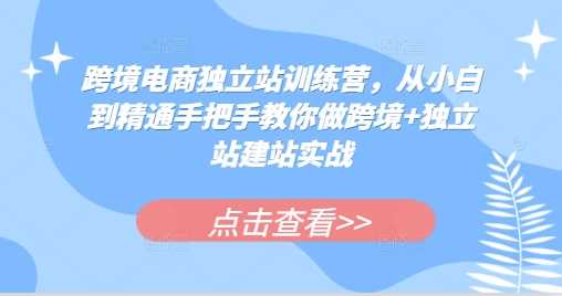 跨境電商獨立站訓練營，從小白到精通手把手教你做跨境+獨立站建站實戰 - 嚴選資源大全
