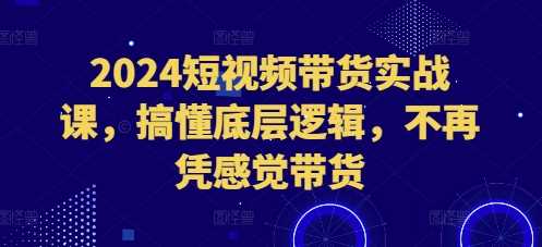 2024短視頻帶貨實戰課,搞懂底層邏輯,不再憑感覺帶貨 - 嚴選資源大全