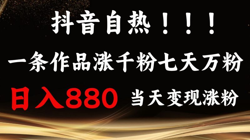 抖音小紅書自熱，一條作品1000粉，7天萬粉，單日變現880收益 - 嚴選資源大全 - 嚴選資源大全
