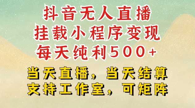 抖音無人直播掛載小程序變現每天純利500+當天直播，當天結算支持工作室，可矩陣【揭秘】 - 嚴選資源大全