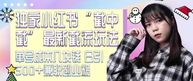 最新小紅書截流玩法 獨(dú)家截中截 單號(hào)成本幾塊錢 日引500+CY粉JZ粉 - 嚴(yán)選資源大全