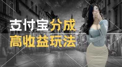 支付寶分成計劃新玩法，利用交通事故視頻，賺收益，輕松月入過W，操作簡單【揭秘】 - 嚴(yán)選資源大全