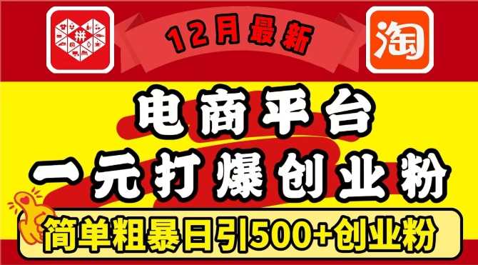 12月最新：電商平臺1元打爆創業粉，簡單粗暴日引500+精準創業粉，輕松月入過W【揭秘】 - 嚴選資源大全
