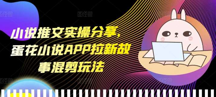 小說推文實操分享，蛋花小說APP拉新故事混剪玩法 - 嚴選資源大全
