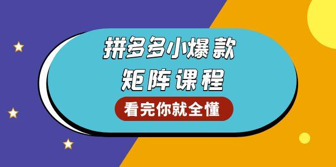 （13699期）拼多多爆款矩陣課程：教你測出店鋪爆款，優化銷量，提升GMV，打造爆款群 - 嚴選資源大全