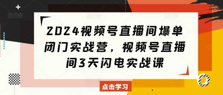 2024視頻號直播間爆單閉門實戰營，視頻號直播間3天閃電實戰課 - 嚴選資源大全
