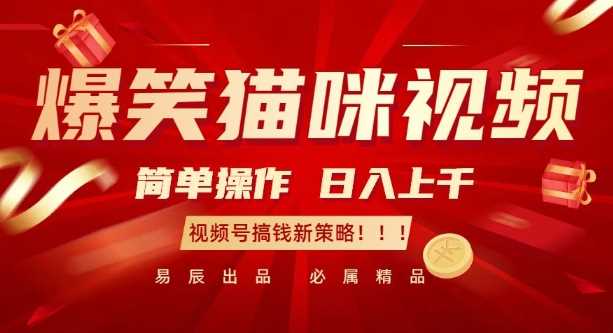 爆笑貓咪視頻:簡單操作,日入過K,視頻號搞錢新策略【揭秘】 - 嚴選資源大全
