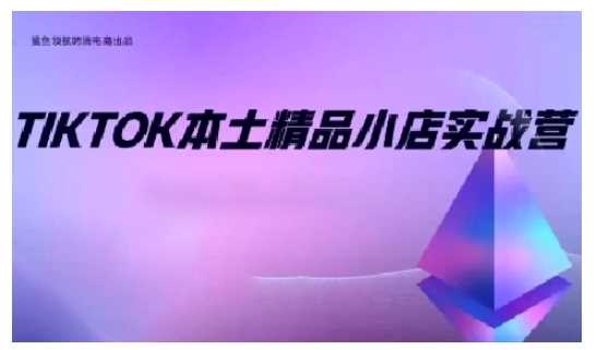 TikTok本土精品小店出海實戰營,從入門到高階,不止0-1! - 嚴選資源大全