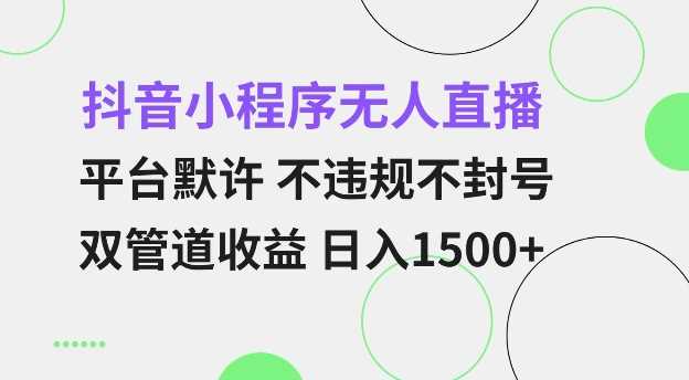 抖音小程序無人直播 平臺(tái)默許 不違規(guī)不封號(hào) 雙管道收益 日入多張 小白也能輕松操作【僅揭秘】 - 嚴(yán)選資源大全