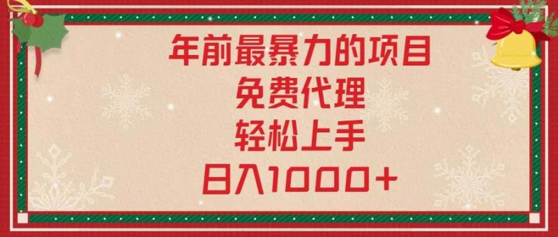 （13773期）年前最暴力的項目，免費代理，輕松上手，日入1000+ - 嚴選資源大全 - 嚴選資源大全