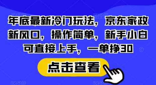 年底最新冷門玩法，京東家政新風口，操作簡單，新手小白可直接上手，一單掙30【揭秘】 - 嚴選資源大全