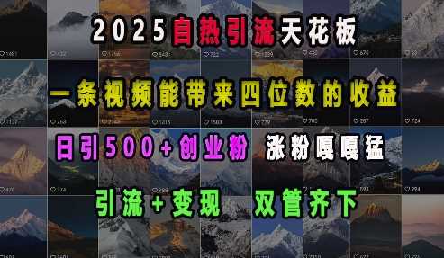 2025自熱引流天花板，一條視頻能帶來四位數的收益，引流+變現雙管齊下，日引500+創業粉，漲粉嘎嘎猛 - 嚴選資源大全