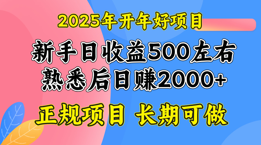 2025開年好項目，單號日收益2000左右 - 嚴選資源大全