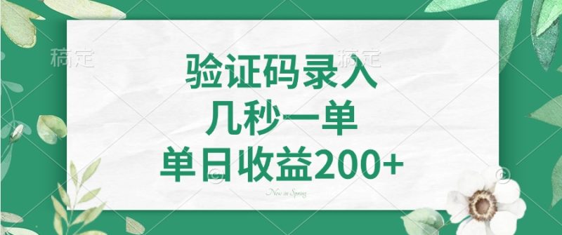 驗證碼錄入，幾秒一單，單日收益200+ - 嚴選資源大全 - 嚴選資源大全