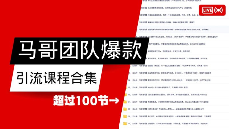 馬哥團隊【122節(jié)】最全項目爆款引流課程合集【持續(xù)更新】 - 嚴(yán)選資源大全 - 嚴(yán)選資源大全