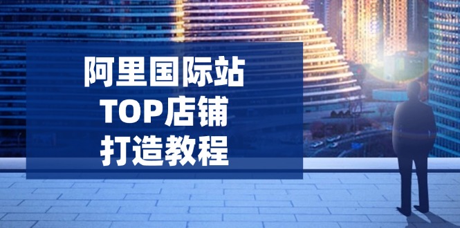阿里國際站TOP店鋪打造教程：涵蓋平臺到高階，解決運營難題，提升詢盤 - 嚴選資源大全