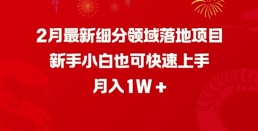 2月最新細分領域落地項目,新手小白也可快速上手,月入1W - 嚴選資源大全