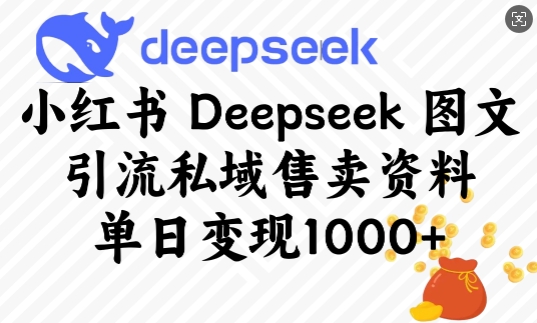 小紅書Deepseek圖文引流私域售賣資料,單日變現多張 - 嚴選資源大全