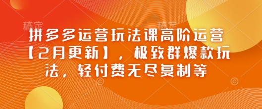 拼多多運營玩法課高階運營【2月更新】，極致群爆款玩法，輕付費無盡復制等 - 嚴選資源大全