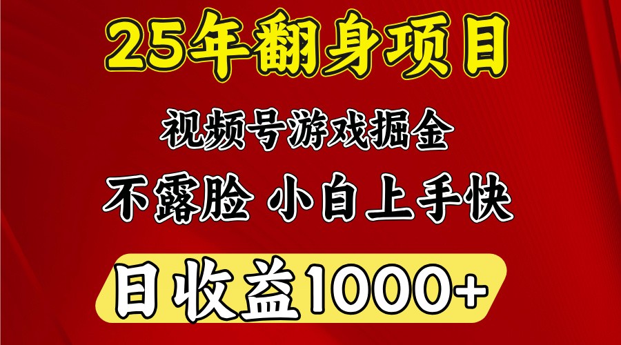 一天收益1000+ 25年開年落地好項目 - 嚴選資源大全
