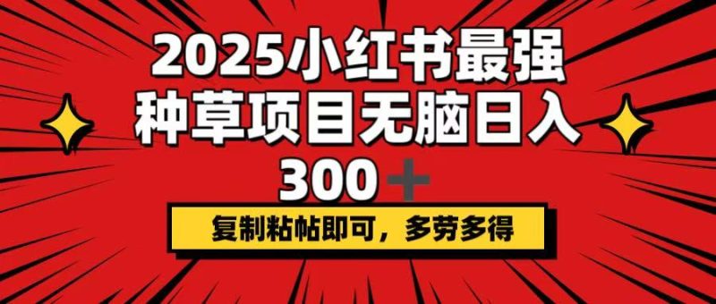 2025小紅書最強種草項目,無腦日入300+,復制粘帖即可,多勞多得 - 嚴選資源大全 - 嚴選資源大全
