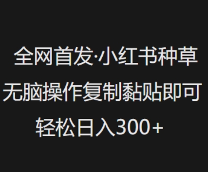 全網首發，小紅書種草無腦操作，復制黏貼即可，輕松日入3張 - 嚴選資源大全