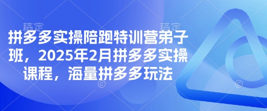 拼多多實操陪跑特訓營弟子班，2025年2月拼多多實操課程，海量拼多多玩法 - 嚴選資源大全