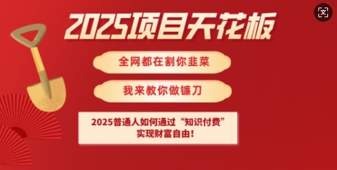 2025項目天花板普通人如何通過知識付費，實現財F自由【揭秘】 - 嚴選資源大全