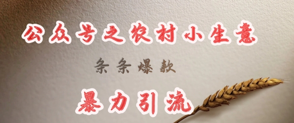 deepseek寫農(nóng)村小項(xiàng)目，條條爆款，暴力引流 - 嚴(yán)選資源大全