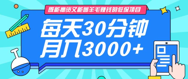 既能擼貨又能賺錢的長期低保項目,每天30分鐘,多號百分百穩定月入3000+! - 嚴選資源大全 - 嚴選資源大全