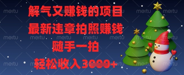 解氣又掙錢的項目，最新違章拍照掙錢，隨手一拍，輕松收入數(shù)張【揭秘】 - 嚴選資源大全