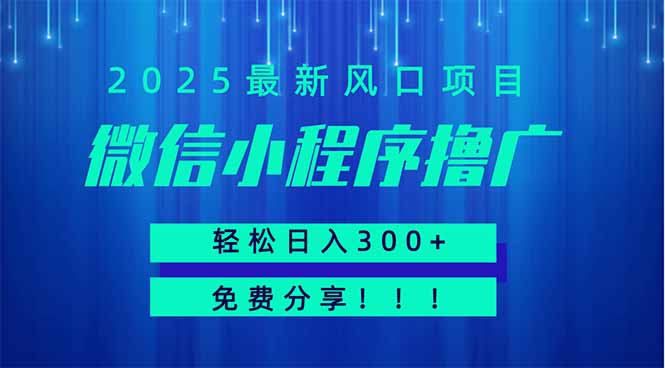 微信小程序擼廣，最新風口項目，日入300+ 免費分享 可批量操作 小白可… - 嚴選資源大全