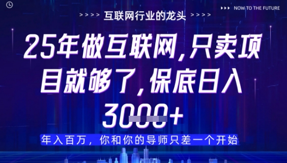 什么!25年你還在找項目做?風口早就變了,賣項目才是穩掙不賠【揭秘】 - 嚴選資源大全