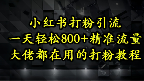 小紅書打粉引流，一天輕松500+精準流量，大佬都在用的打粉教程 - 嚴選資源大全