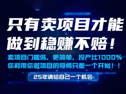 只有賣項目才能做到穩掙不賠，門檻低，更簡單，你也可以年入百個W【揭秘】 - 嚴選資源大全