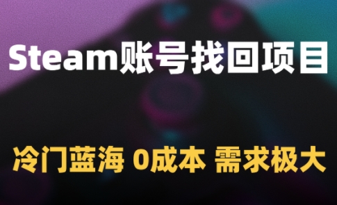 Steam賬號找回項目，冷門藍海，0成本，需求極大 - 嚴選資源大全
