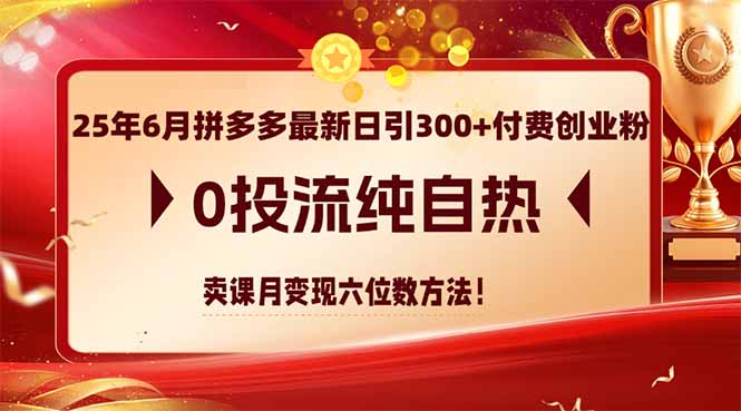 25年6月拼多多最新日引300+付費創業粉，0投流純自熱 賣課月變現六位數方法 - 嚴選資源大全
