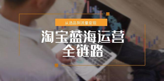 淘寶藍(lán)海運(yùn)營(yíng)全鏈路，從選品到流量變現(xiàn)，小類目突圍完整方案 - 嚴(yán)選資源大全