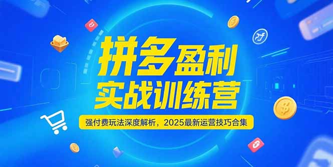 拼多多盈利實戰訓練營,強付費玩法深度解析,2025運營技巧合集-更新6月 - 嚴選資源大全